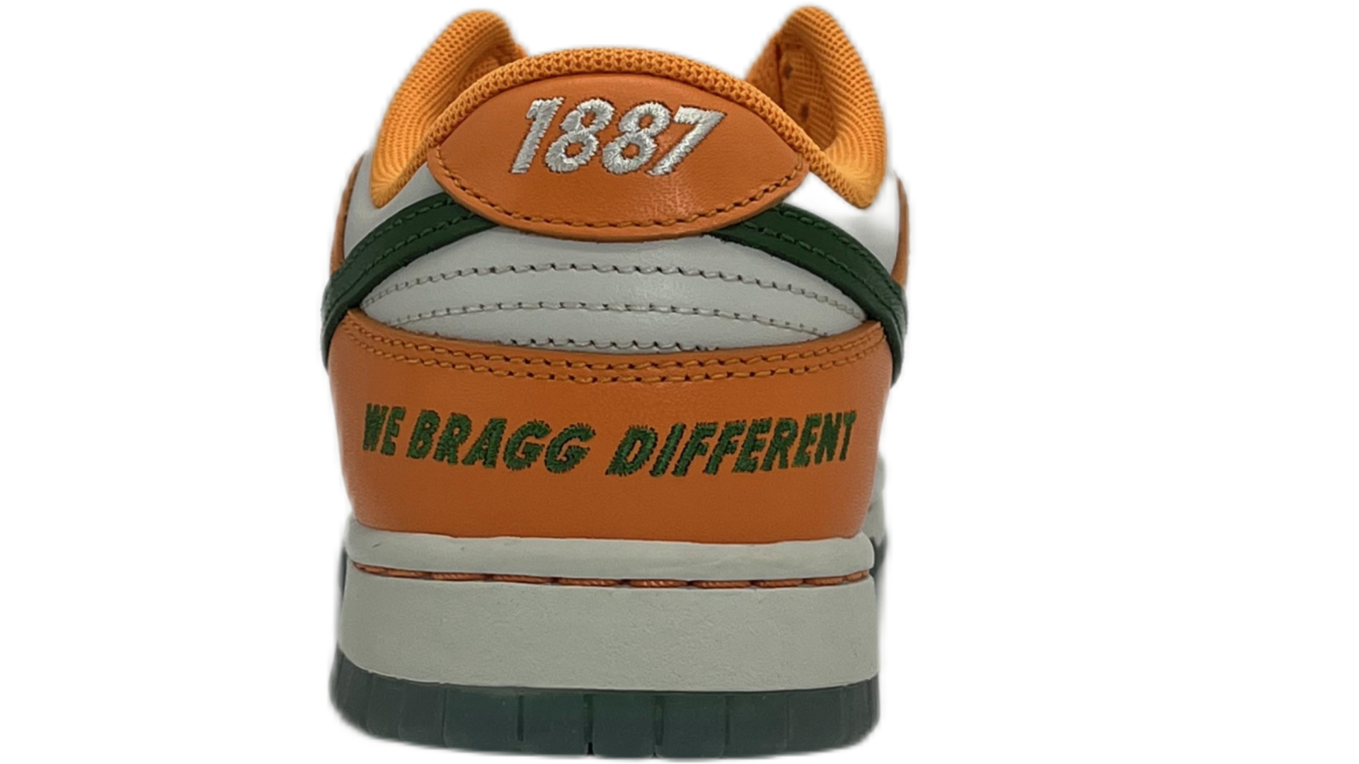Nike Dunk Low FAMU