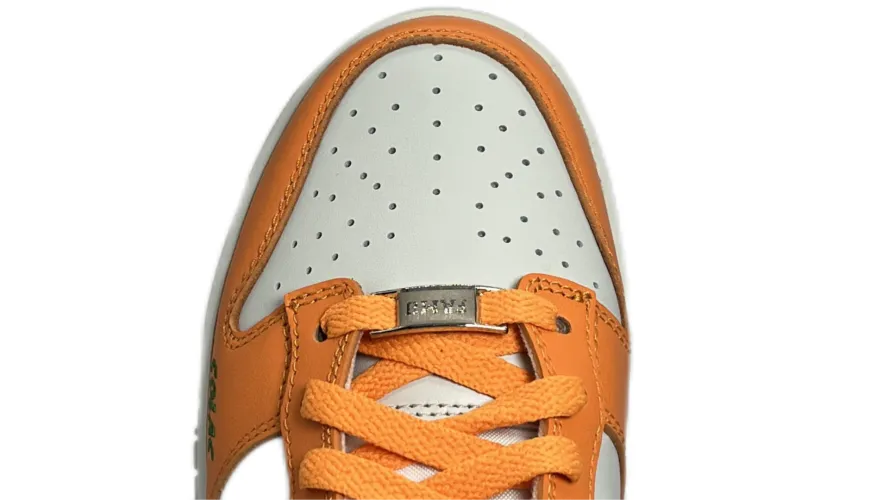 Nike Dunk Low FAMU
