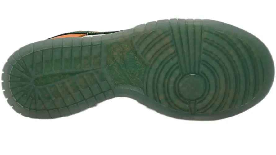 Nike Dunk Low FAMU