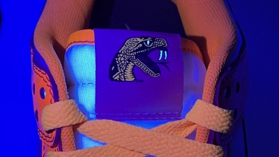Nike Dunk Low FAMU