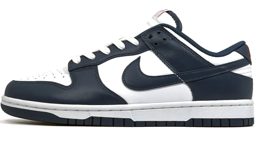 Nike Dunk Low Valerian Blue