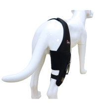 Adjustable Dog Acl Brace09
