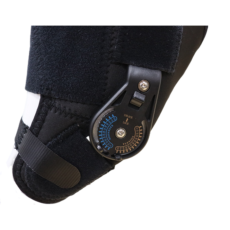 Adjustable Dog Acl Brace04