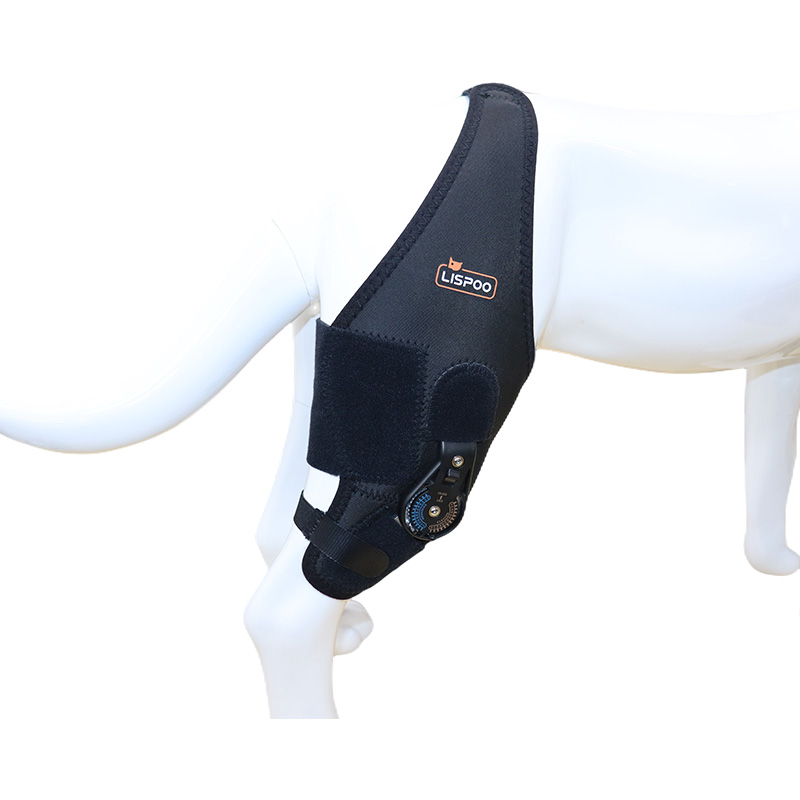 Adjustable Dog Acl Brace10