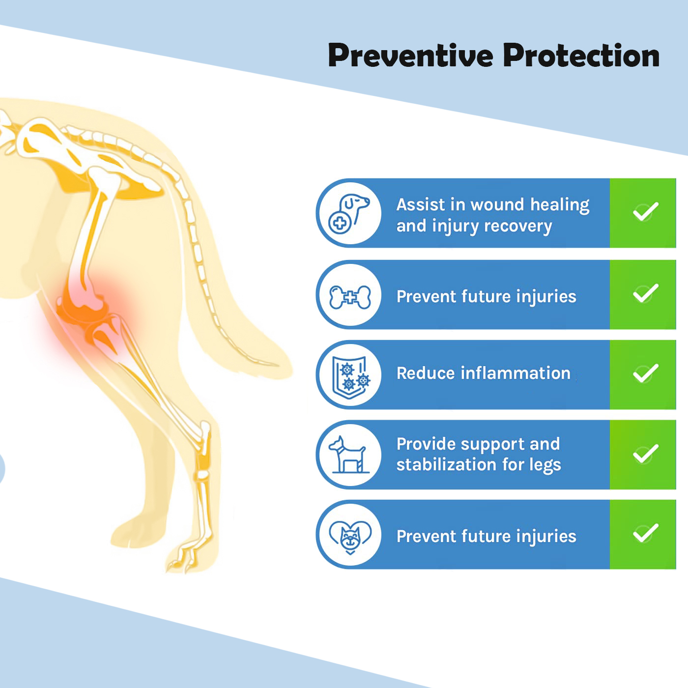 Adjustable Dog Acl Brace01