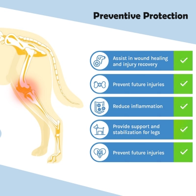 Adjustable Dog Acl Brace 02