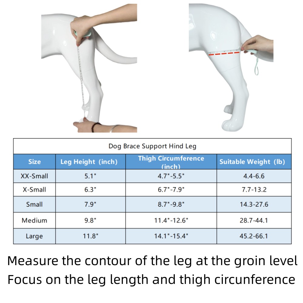 Dog Brace For Hind Leg10