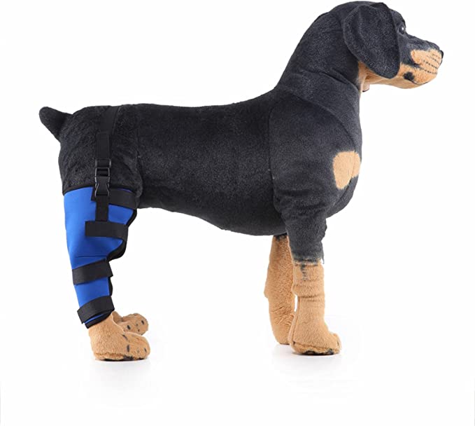 Dog Brace For Hind Leg08