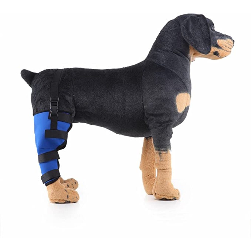 Dog Brace For Hind Leg08