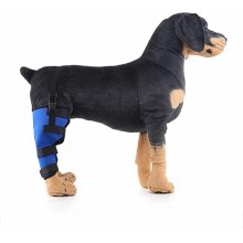Dog Brace For Hind Leg08