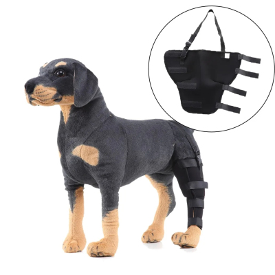 Dog Brace For Hind Leg 01