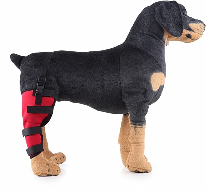 Dog Brace For Hind Leg09