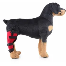 Dog Brace For Hind Leg09