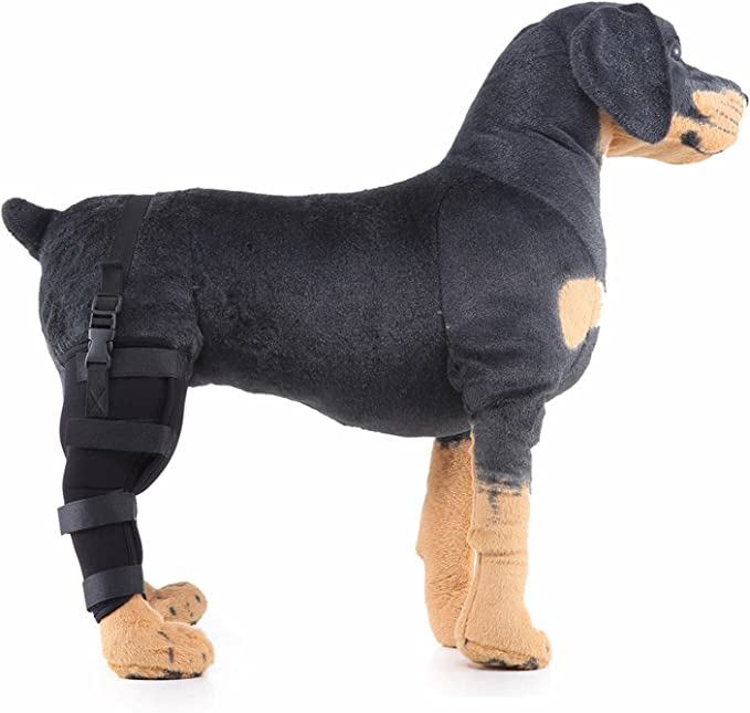 Dog Brace For Hind Leg05
