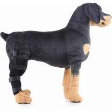 Dog Brace For Hind Leg05