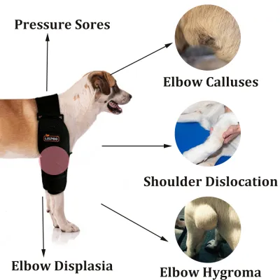 Dog Double Elbow & Shoulder Brace 02