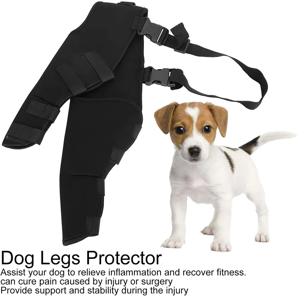 Dog Hind Legs Protector 03