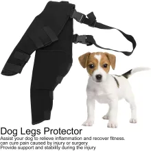 Dog Hind Legs Protector 03
