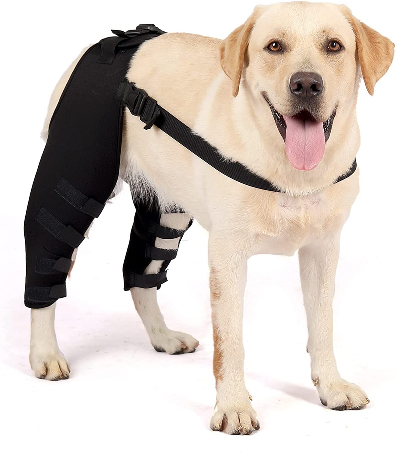 Dog Hind Legs Protector 00