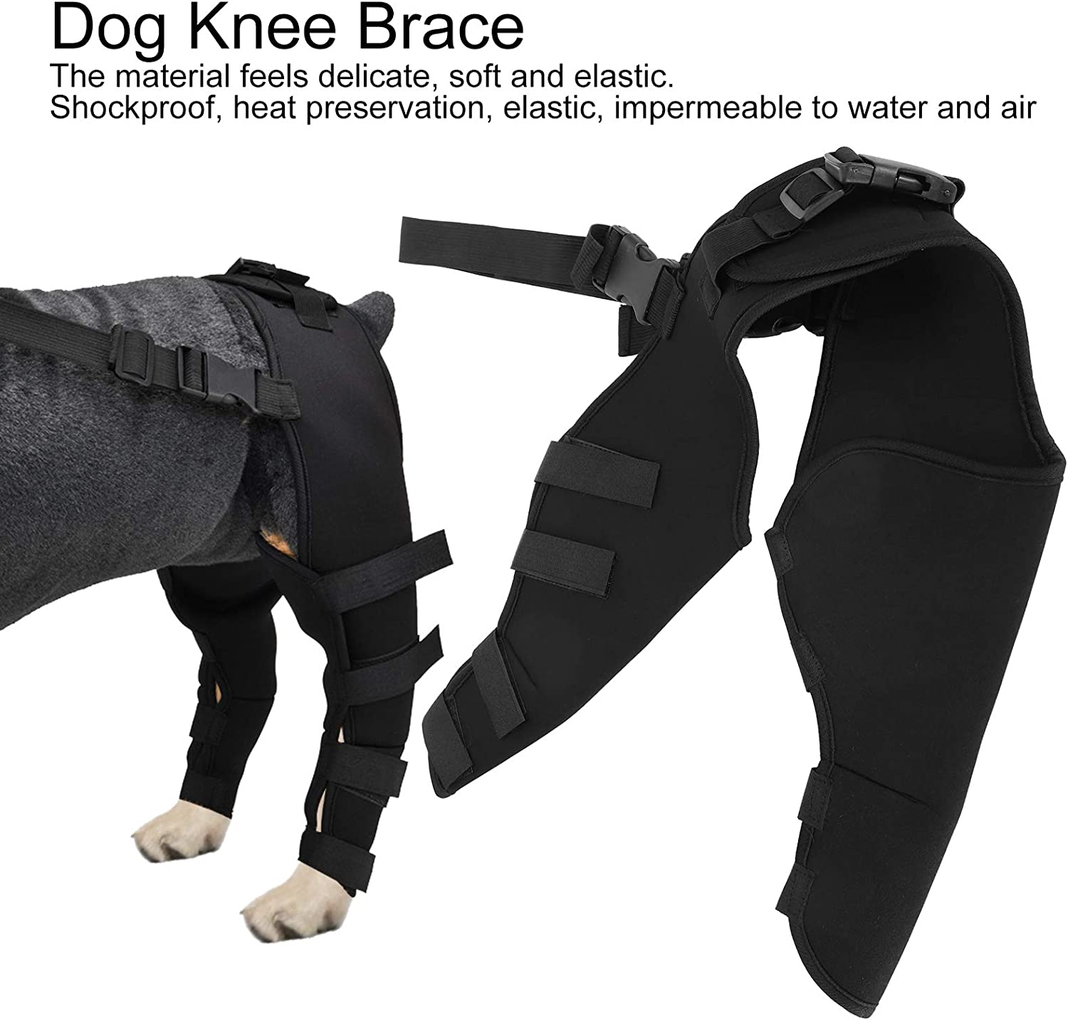 Dog Hind Legs Protector 10