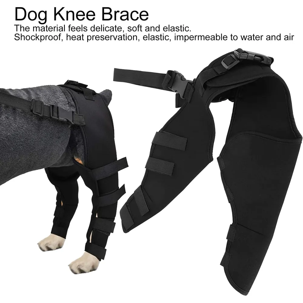 Dog Hind Legs Protector 10