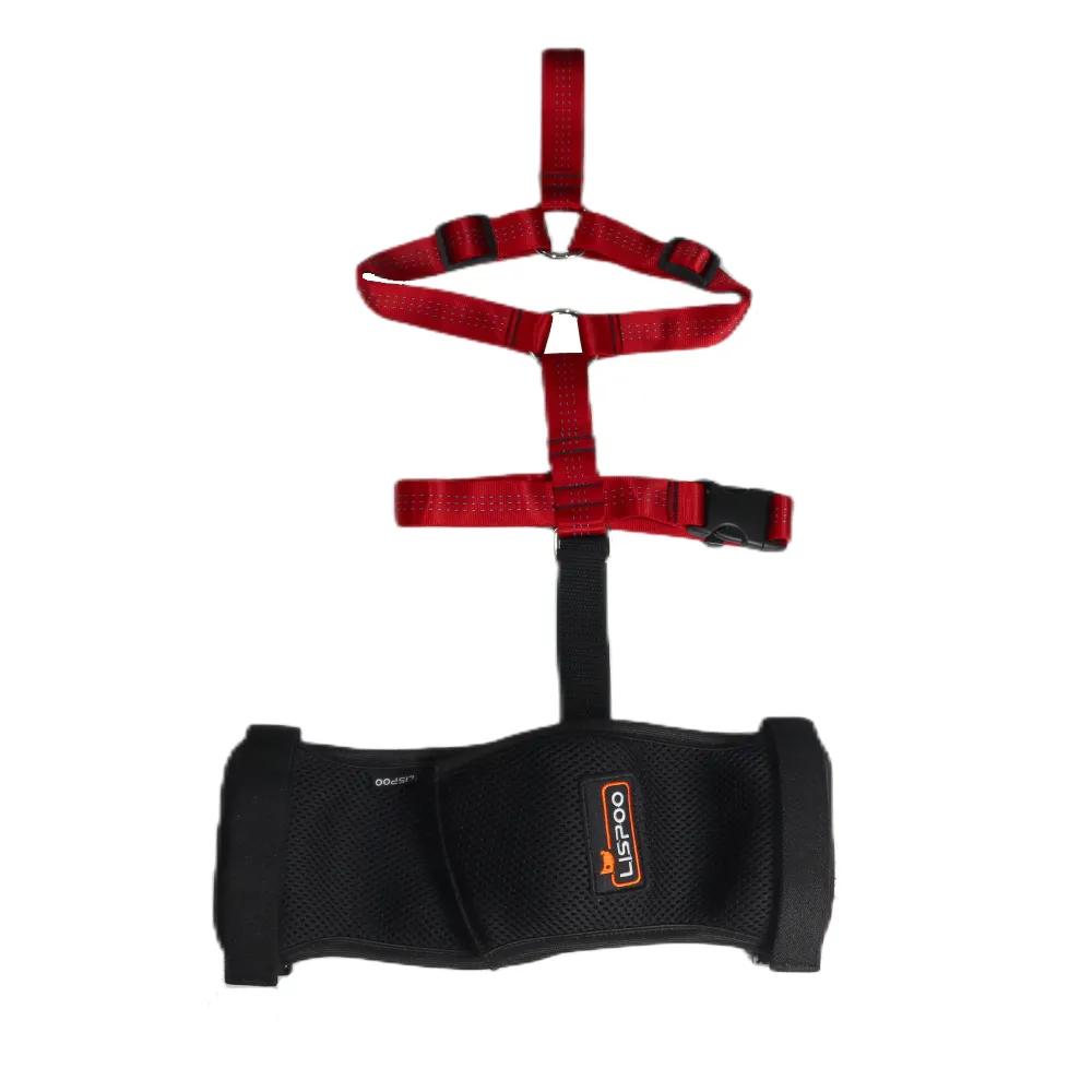 Dog Hip Dysplasia Brace06