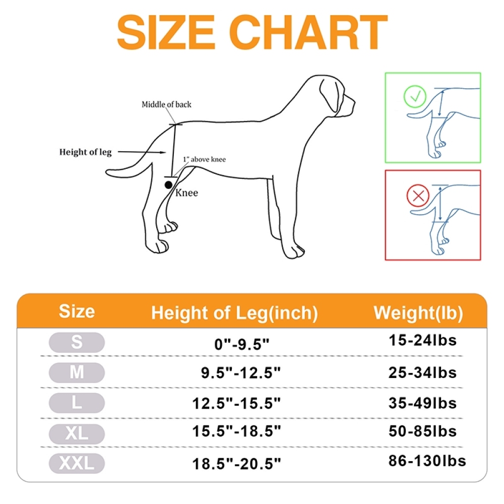 Dog Hip Dysplasia Brace09
