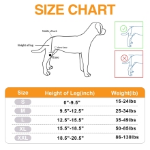 Dog Hip Dysplasia Brace09