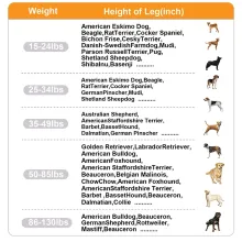 Dog Hip Dysplasia Brace07