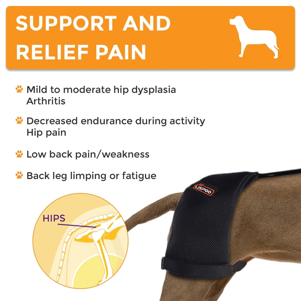 Dog Hip Dysplasia Brace10