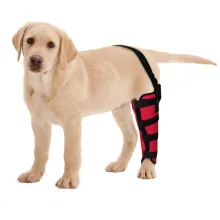 Dog Knee Brace Support  Acl12
