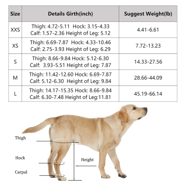 Dog Knee Brace Support  Acl10