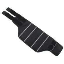 Dog Neck Brace04