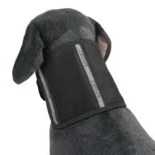 Dog Neck Brace02