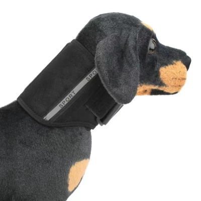 Dog Neck Brace 01