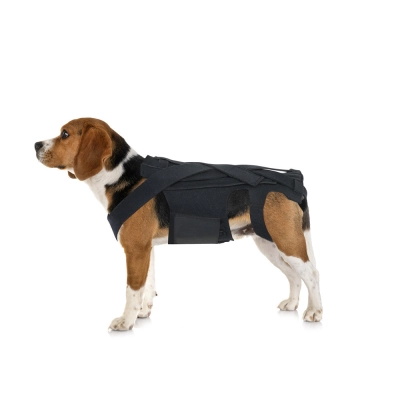 Lightweight Dog IVDD Back Brace 01