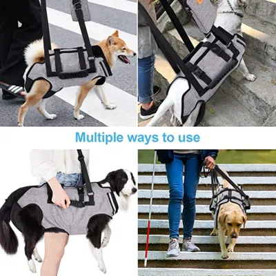 Oxford Full Body Lifting Harness for Dogs 02