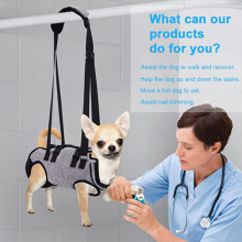 Oxford Full Body Lifting Harness for Dogs05