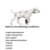 Extra Supportive Dog Carpal Brace