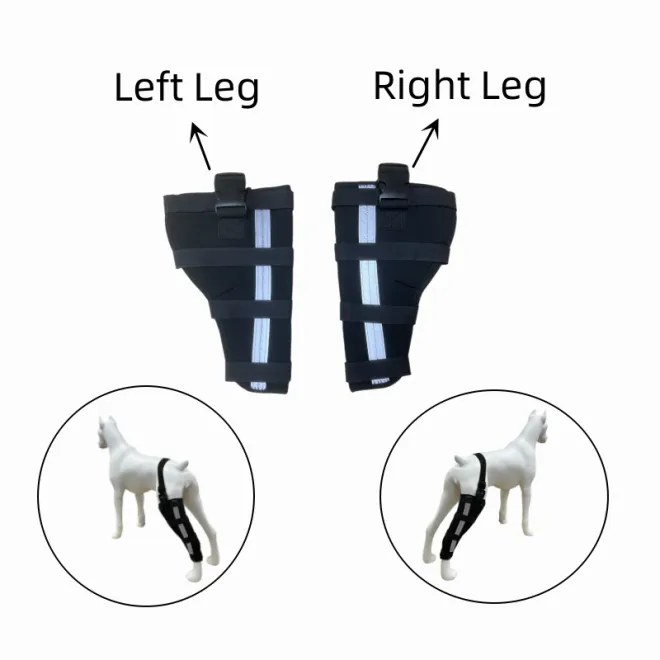 Left leg dog sales brace