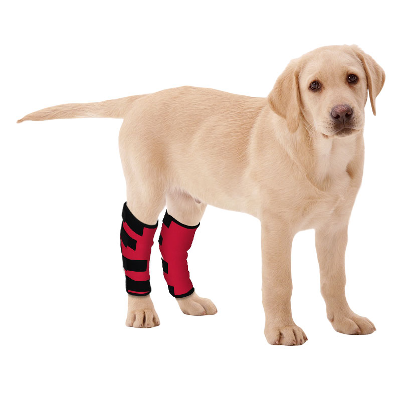 Dog Hock Wrap Braces Protector06