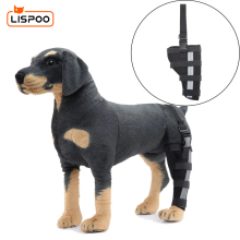 Hinged Dog Leg Brace (left and right)11