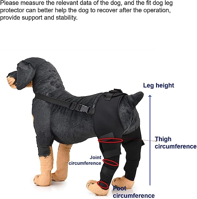 Dog Hind Legs Protector 11