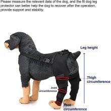 Dog Hind Legs Protector 11