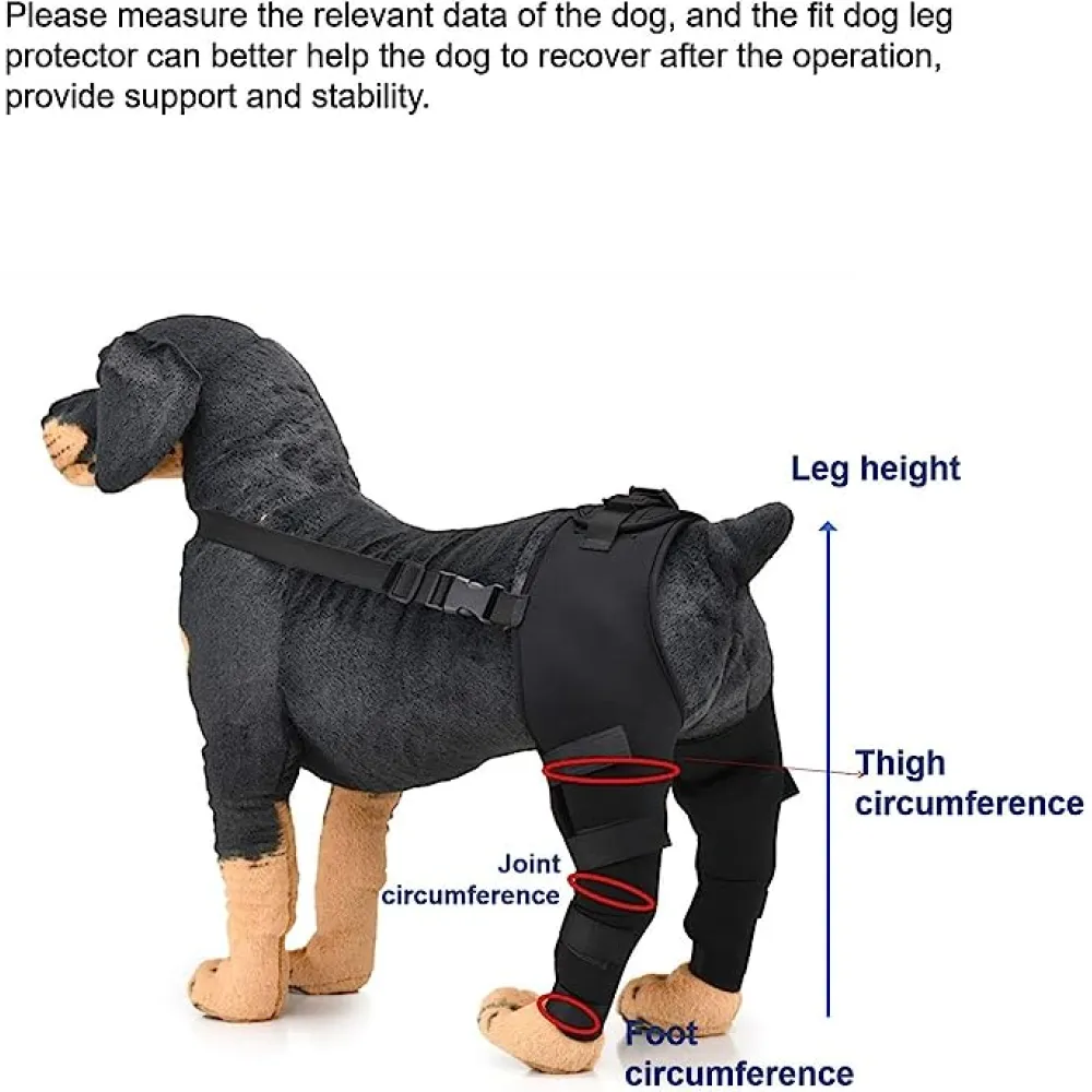 Dog Hind Legs Protector 11