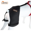 Dog Hip Dysplasia Brace