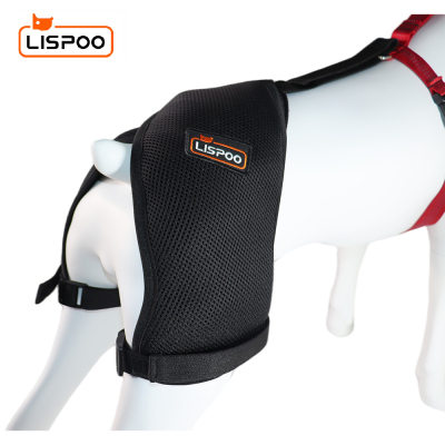 Dog Hip Dysplasia Brace 01