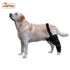 Dog Knee Brace Support  Acl