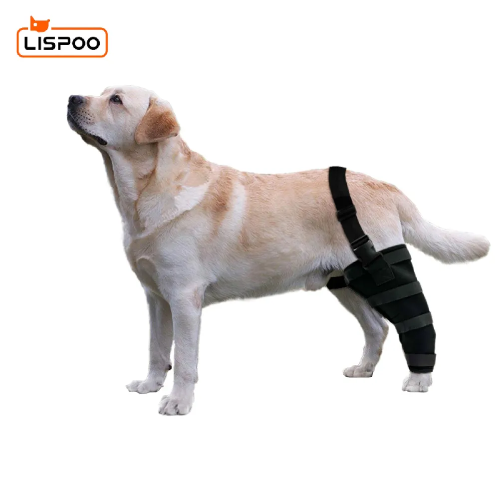 Dog Knee Brace Support  Acl00