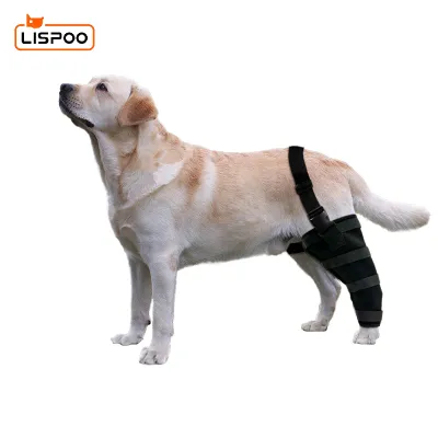 Dog Knee Brace Support  Acl 01